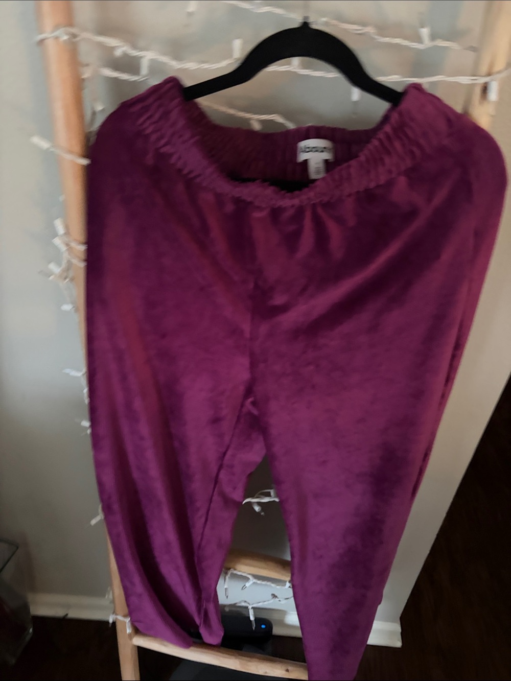 Abound Velvet Joggers in Plum Purple